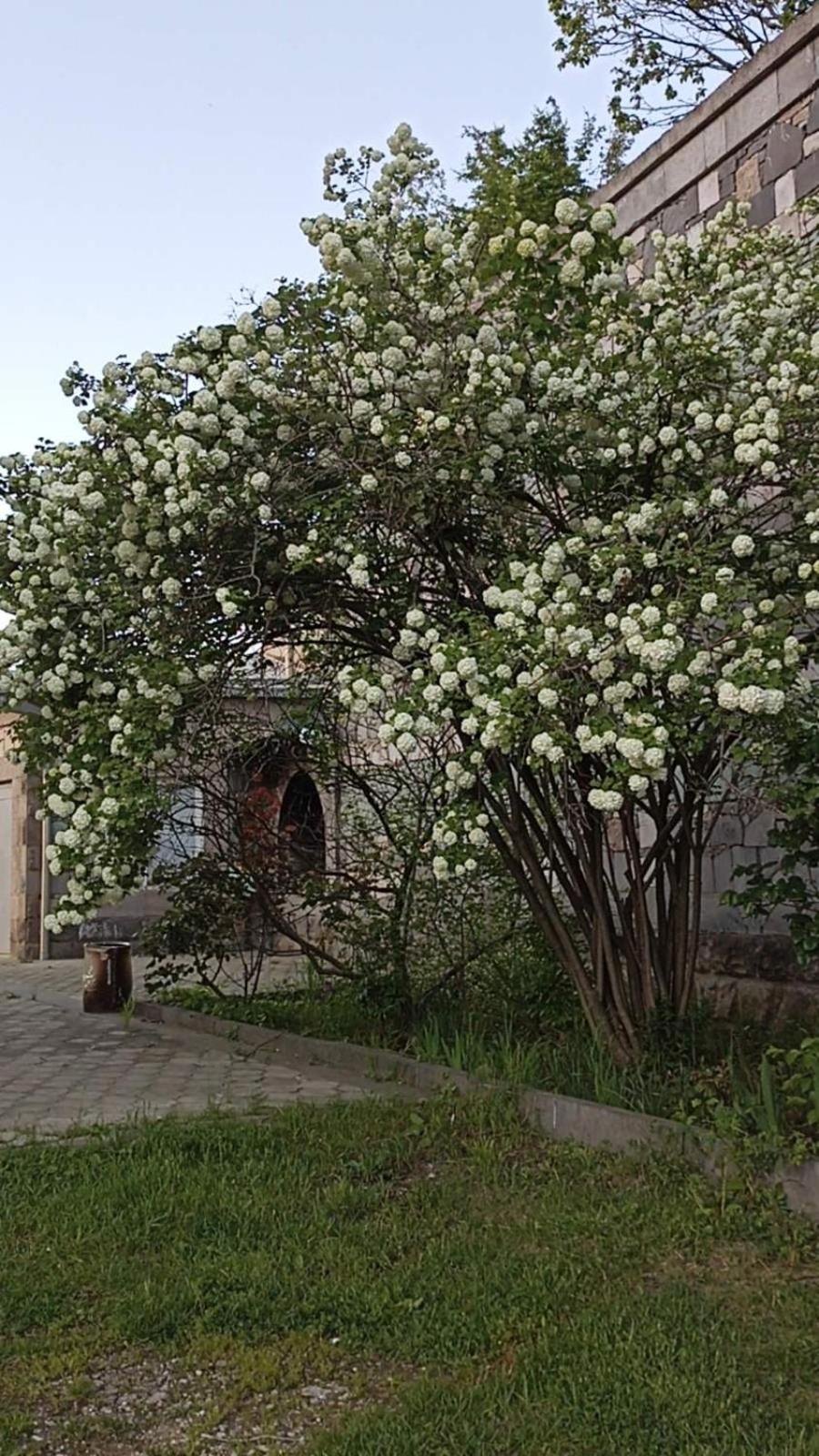 Luse Guest House Ijevan Exterior foto