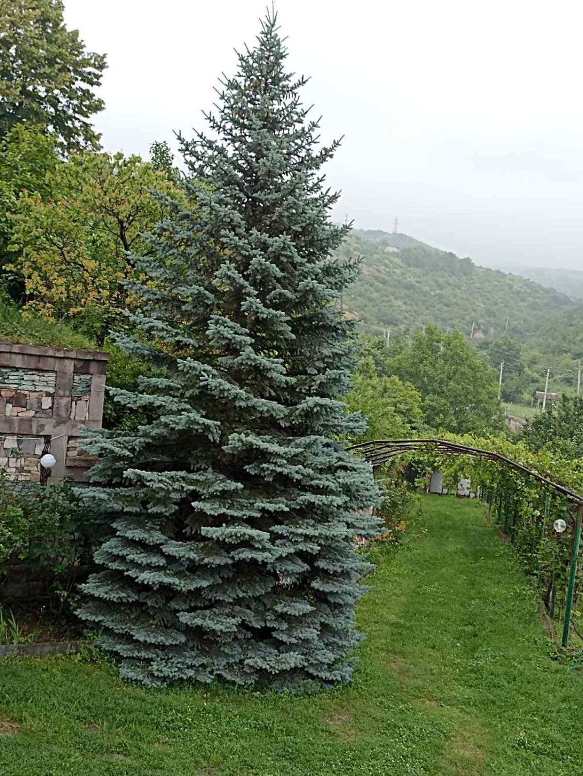 Luse Guest House Ijevan Exterior foto